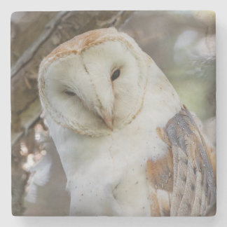 Barowl Portrait Stone Untersetzer