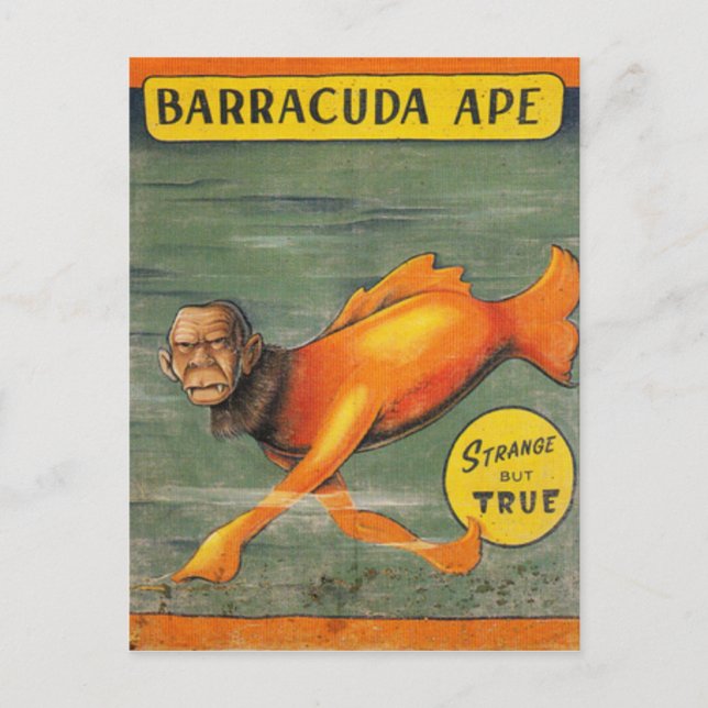 Barracuda Ape Postkarte (Vorderseite)