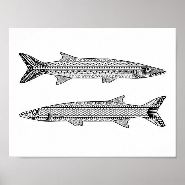 Barracuda Fisch Erwachsenenfarbposter Poster (Vorne)
