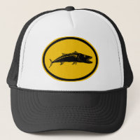 Barracuda-Fische