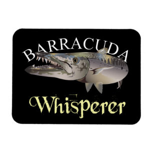 Barracuda Whisperer Dark Colored Magnet