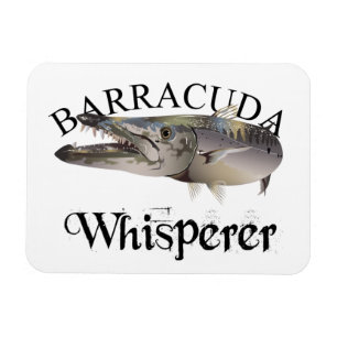 Barracuda Whisperer Light Colored Magnet