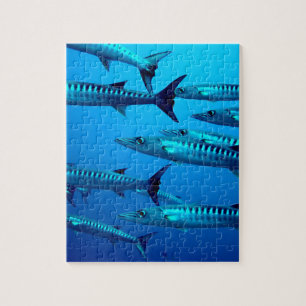 Barrakuda-Tiefseetaucher-Ozean-Wasser-tropische-We Puzzle