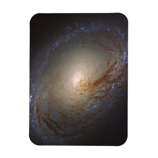 Barred Lenticular Galaxy Ngc 3368 Magnet (Vertikal)