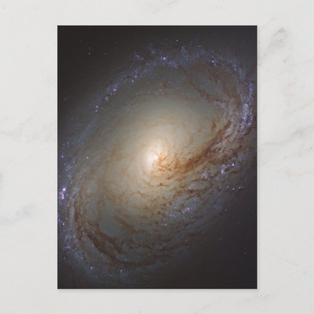 Barred Lenticular Galaxy Ngc 3368 Postkarte (Vorderseite)