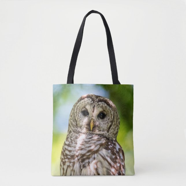 Barred Owl (Vorderseite)
