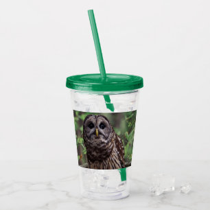 Barred Owl Acryltrinkbecher