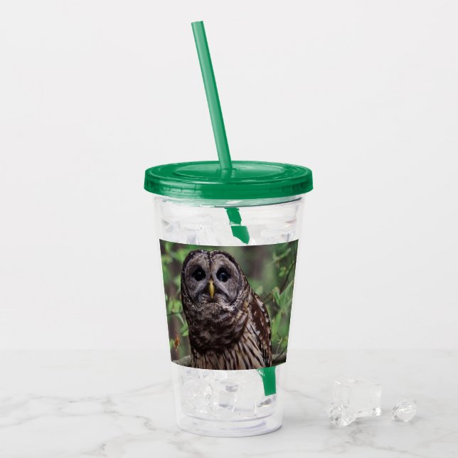 Barred Owl Acryltrinkbecher (Vorderseite Ice)
