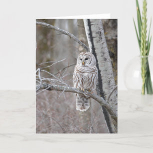 Barred Owl Bird Wildlife Blank Notecard Dankeskarte