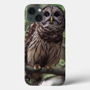 Barred Owl Case-Mate iPhone Hülle