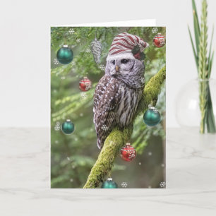 Barred Owl Christmas Feiertagskarte