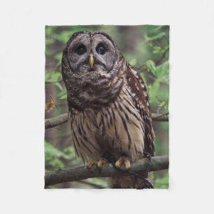 Barred Owl Fleecedecke