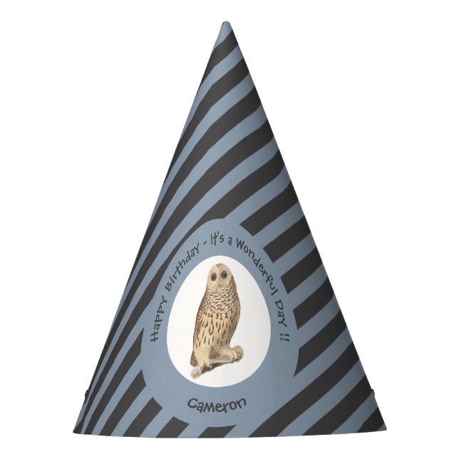Barred Owl - Geburtstag oder anderes Party Themed  Partyhütchen (Vorderseite)
