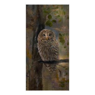 Barred Owl Gemälde 14 x 28 Poster