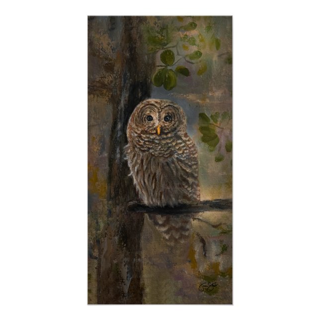 Barred Owl Gemälde 14 x 28 Poster (Vorderseite)