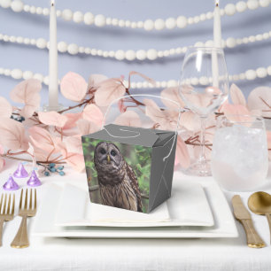 Barred Owl Geschenkschachtel