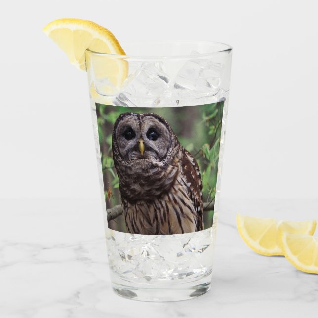Barred Owl Glas (Vorderseite Ice)