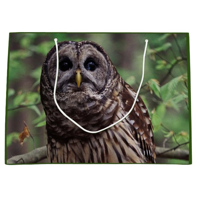 Barred Owl Große Geschenktüte (Vorderseite)