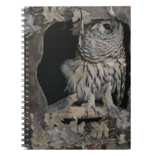 Barred Owl - Here's Looking at You! Notizblock