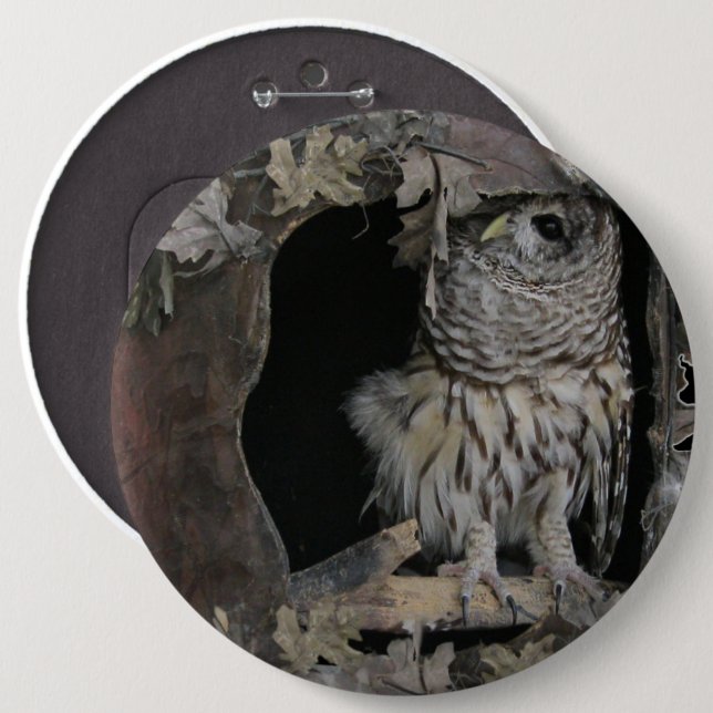 Barred Owl - Hier sieht man dich an! Button (Vorne & Hinten)