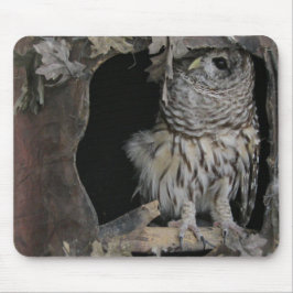 Barred Owl - Hier sieht man dich an! Mousepad