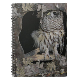 Barred Owl - Hier sieht man dich an! Notizblock