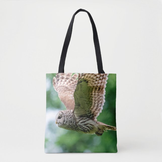 Barred Owl im Flug (Vorderseite)