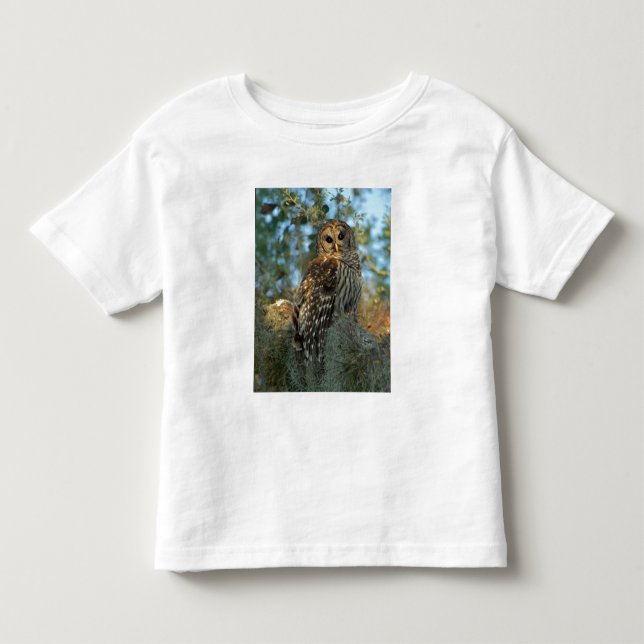Barred Owl in einem spanischen Moos Kleinkind T-shirt (Vorderseite)