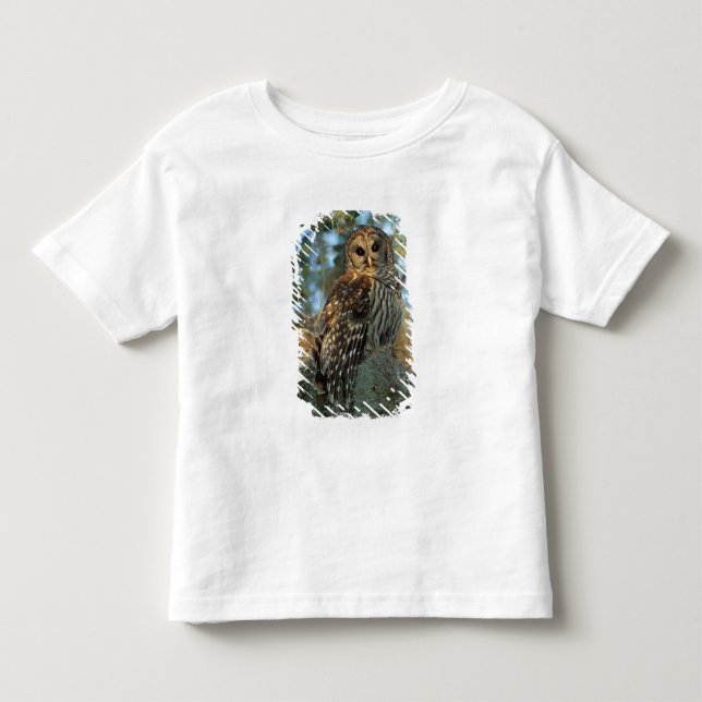 Barred Owl in einem spanischen Moos Kleinkind T-shirt (Vorderseite)