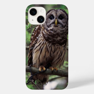 Barred Owl iPhone 14 Hülle