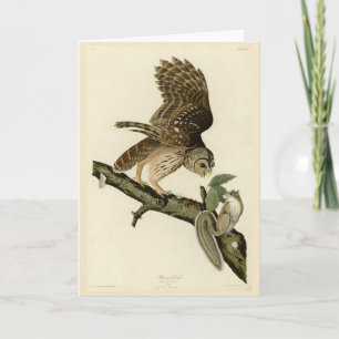 Barred Owl, John James Audubons Vögel von Amerika Karte