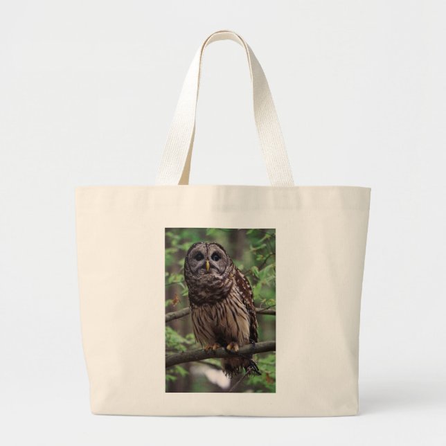 Barred Owl Jumbo Stoffbeutel (Vorne)