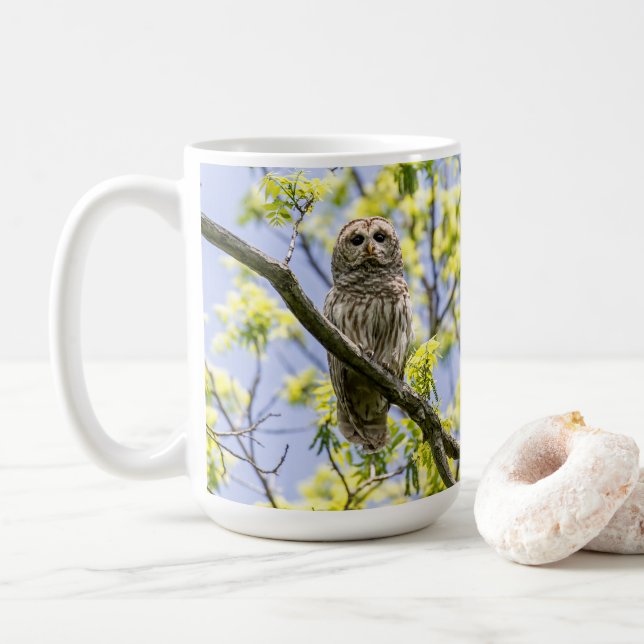 Barred Owl Kaffeetasse (Mit Donut)