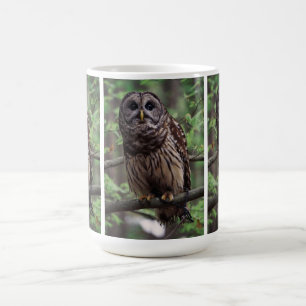 Barred Owl Kaffeetasse