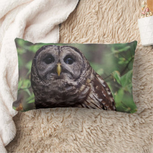 Barred Owl Lendenkissen