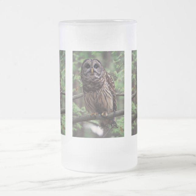 Barred Owl Mattglas Bierglas (Mittel)