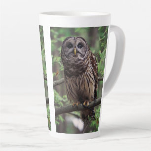 Barred Owl Milchtasse