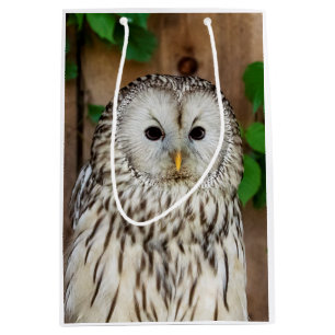 Barred Owl Mittlere Geschenktüte