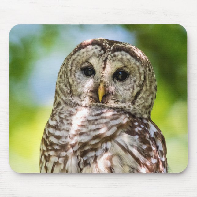 Barred Owl Mousepad (Vorne)