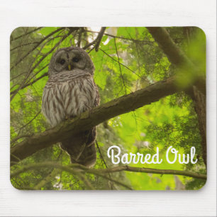 Barred Owl Mousepad