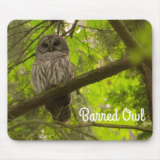 Barred Owl Mousepad (Vorne)