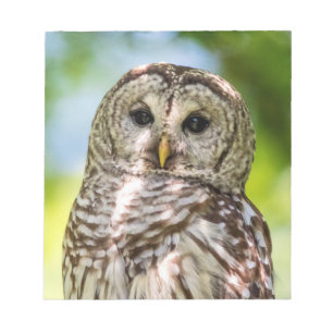 Barred Owl Notizblock