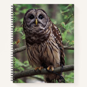 Barred Owl Notizbuch