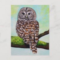 Barred Owl Painting
