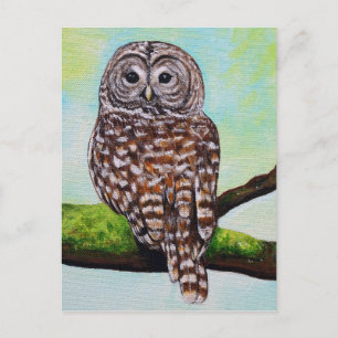 Barred Owl Painting Postkarte