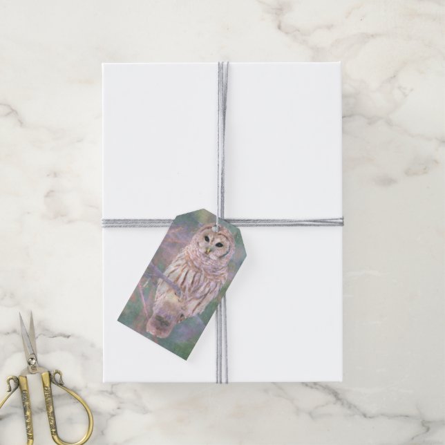 Barred Owl Pastel Digitales Ölgemälde Geschenkanhänger (Mit Garn)