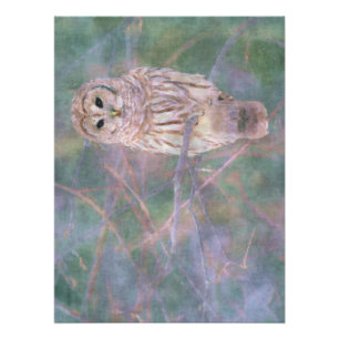 Barred Owl Pastel Digitales Ölgemälde Poster