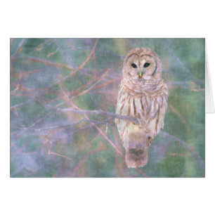 Barred Owl Pastelllackierung