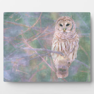 Barred Owl Pastelllackierung Fotoplatte