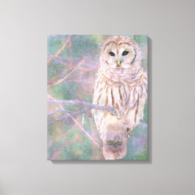 Barred Owl Pastelllackierung Leinwanddruck (Vorderseite)